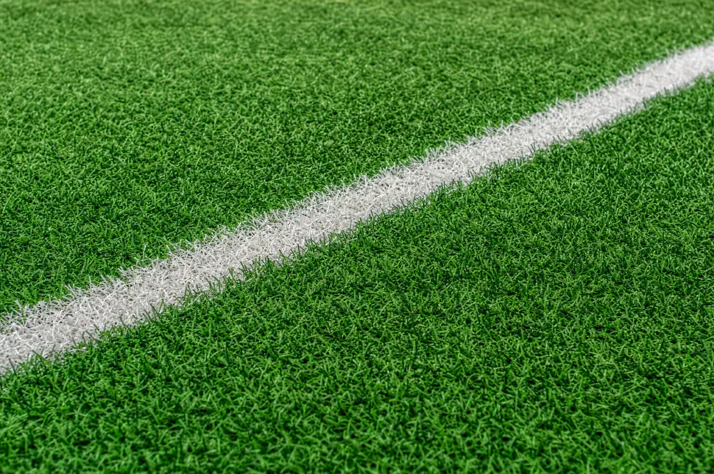 Close view of short dense carpet-style turf