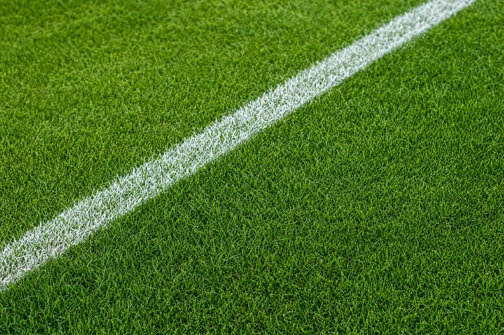 Close view of a natural grass playing surface